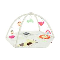 Skip Hop Geometric Wonders Babygym