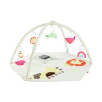 Skip Hop Geometric Wonders Babygym
