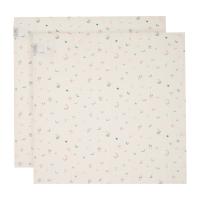 Witlof For Kids Magical Days Hydrofiel Doek - 65 x 65 cm - 2 Stuks