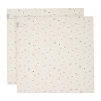 Witlof For Kids Multidoek Hydrofiel Magical Days 65 x 65 cm 2-Pack