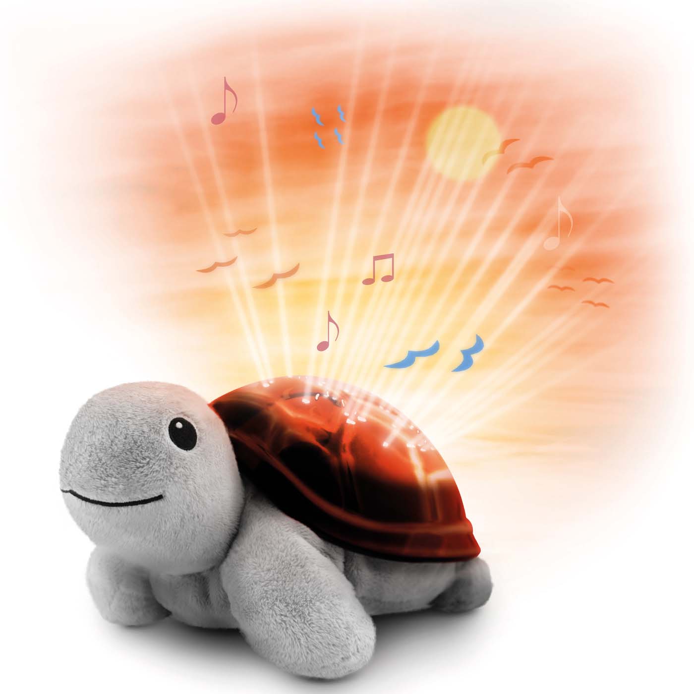 Zazu projector tim de schildpad